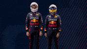 Red Bull Sport GIF by Oracle Red Bull Racing