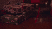 Austin Brown Adam Rupp GIF by Home Free