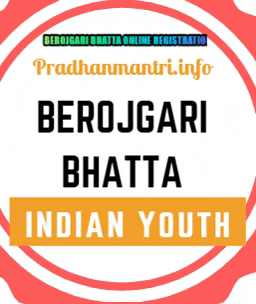 pradhanmantriinfo giphygifmaker berojgari bhatta berojgari bhatta online registration form 2020 GIF