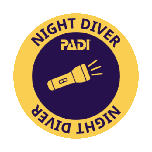 Night Diving Sticker by PADI