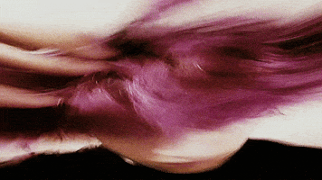 Dog K GIF by Audiomack