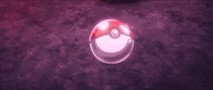 Pokemon Sword GIF by Pokémon