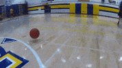 basketball voyageurs GIF by Laurentian University