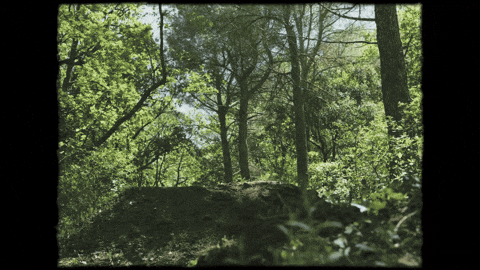 Off Road Motorbike GIF by Sherco Korea