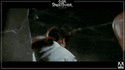 GIF by Arrow Video