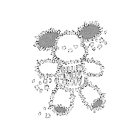 Coller Sticker by LINE FRIENDS