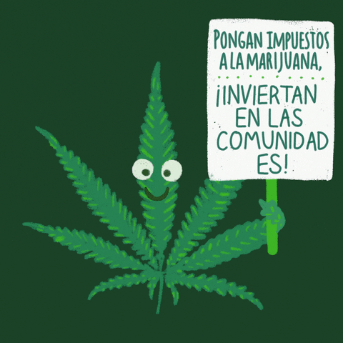 Weed Cannabis GIF by Creative Courage