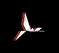 madformulateam car race f1 formulastudent GIF