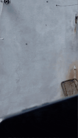 raydenreyes giphygifmaker GIF
