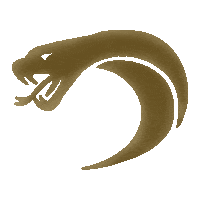 Infinitecobra Sticker