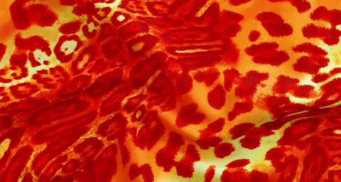 shimmyshineclothing giphyupload GIF