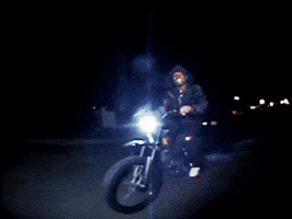 Wolf Bass GIF by IDK