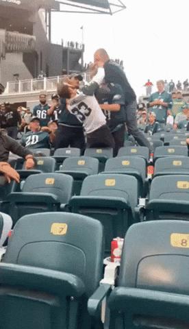 Philadelphia Eagles Fighting GIF by Storyful