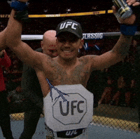 Ufc Joshua Van GIF