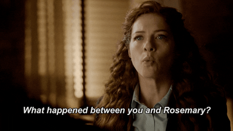 rachelle lefevre fox GIF by Proven Innocent
