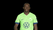 Three Points Win GIF by VfL Wolfsburg