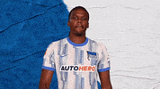 Bundesliga Berlin GIF by Hertha BSC