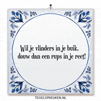 Humor Grijns GIF by Tegelspreuken.nl