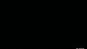 4 Star Animation GIF