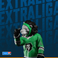 Hockey Hokej GIF by Tipsport extraliga