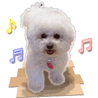 xatsuko_olivex happy dog bichon ビション Sticker
