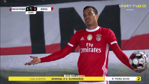 Come On Slbgifs GIF by Sport Lisboa e Benfica