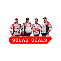 Squad Hms Sticker by Hero MotoSports