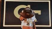 Georgia Tech Football Sport GIF by Georgia Tech Yellow Jackets