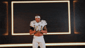 Georgia Tech Football Sport GIF by Georgia Tech Yellow Jackets
