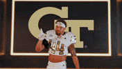 Georgia Tech Football Sport GIF by Georgia Tech Yellow Jackets
