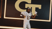 Georgia Tech Football Sport GIF by Georgia Tech Yellow Jackets
