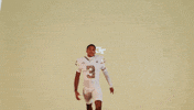 Georgia Tech Football Sport GIF by Georgia Tech Yellow Jackets
