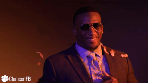 All In Deal With It GIF by Clemson Tigers