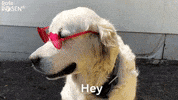 Hallo Rote Rosen GIF by Studio Hamburg Serienwerft GmbH