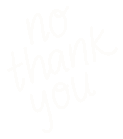 No Thank You Sticker by Nutmeg and Arlo