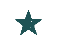 Star Ster Sticker