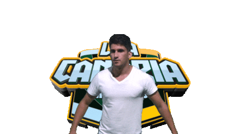 Lcesjose Sticker by LigaCanaria