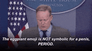 Sean Spicer GIF by Election 2016