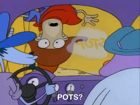 rockos modern life nicksplat GIF
