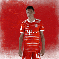 Oh Man No GIF by FC Bayern Munich