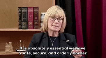 New Hampshire GIF by GIPHY News