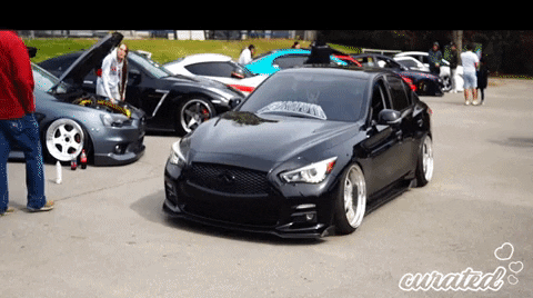 Show Stance GIF by Curated Stance!