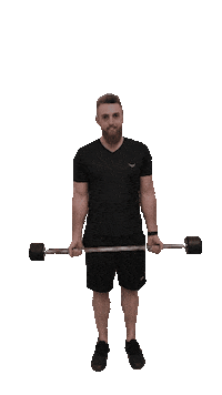 Train Muscles Sticker by redfit fitness