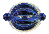 loop spinning STICKER by The NGB