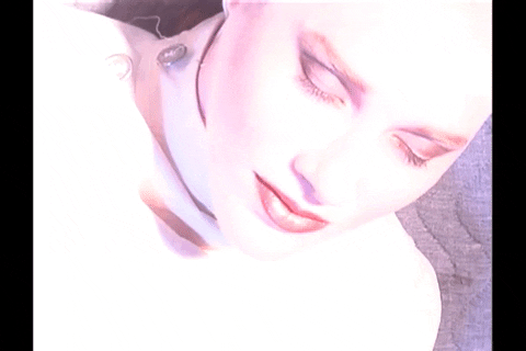 EZTVMuseum giphygifmaker GIF