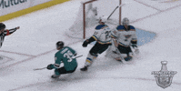 celebrate ice hockey GIF by NHL