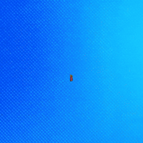 Limited Edition Collector GIF by VeeFriends