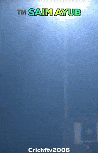 Cricket Pakistan GIF