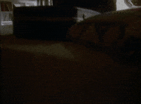 Elon Musk Trump GIF by Goldmaster