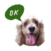 ok STICKER by imoji
